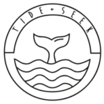 Tide and Seek