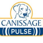 Canissage