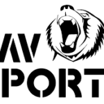 vavsports